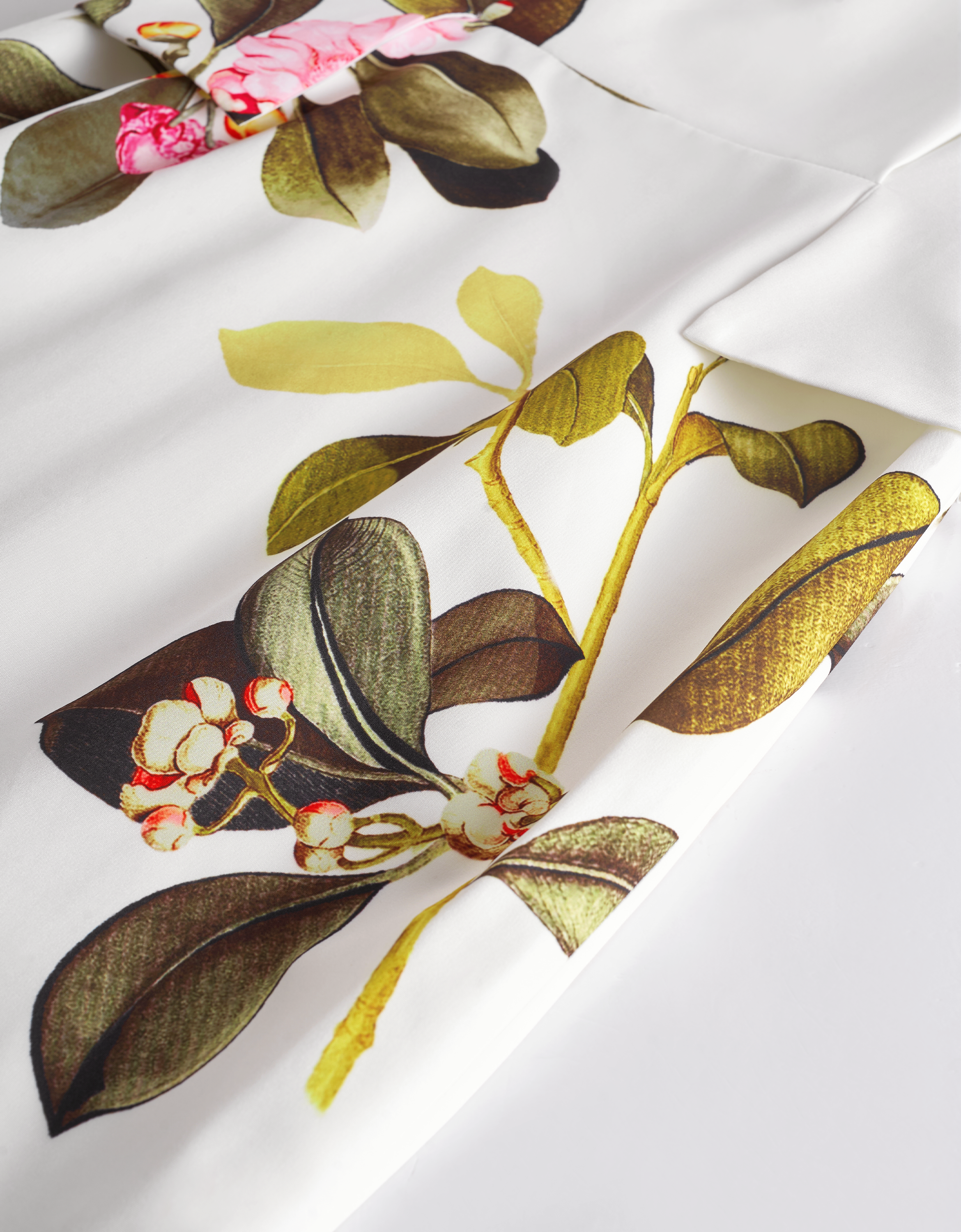 botanical print(a27106)