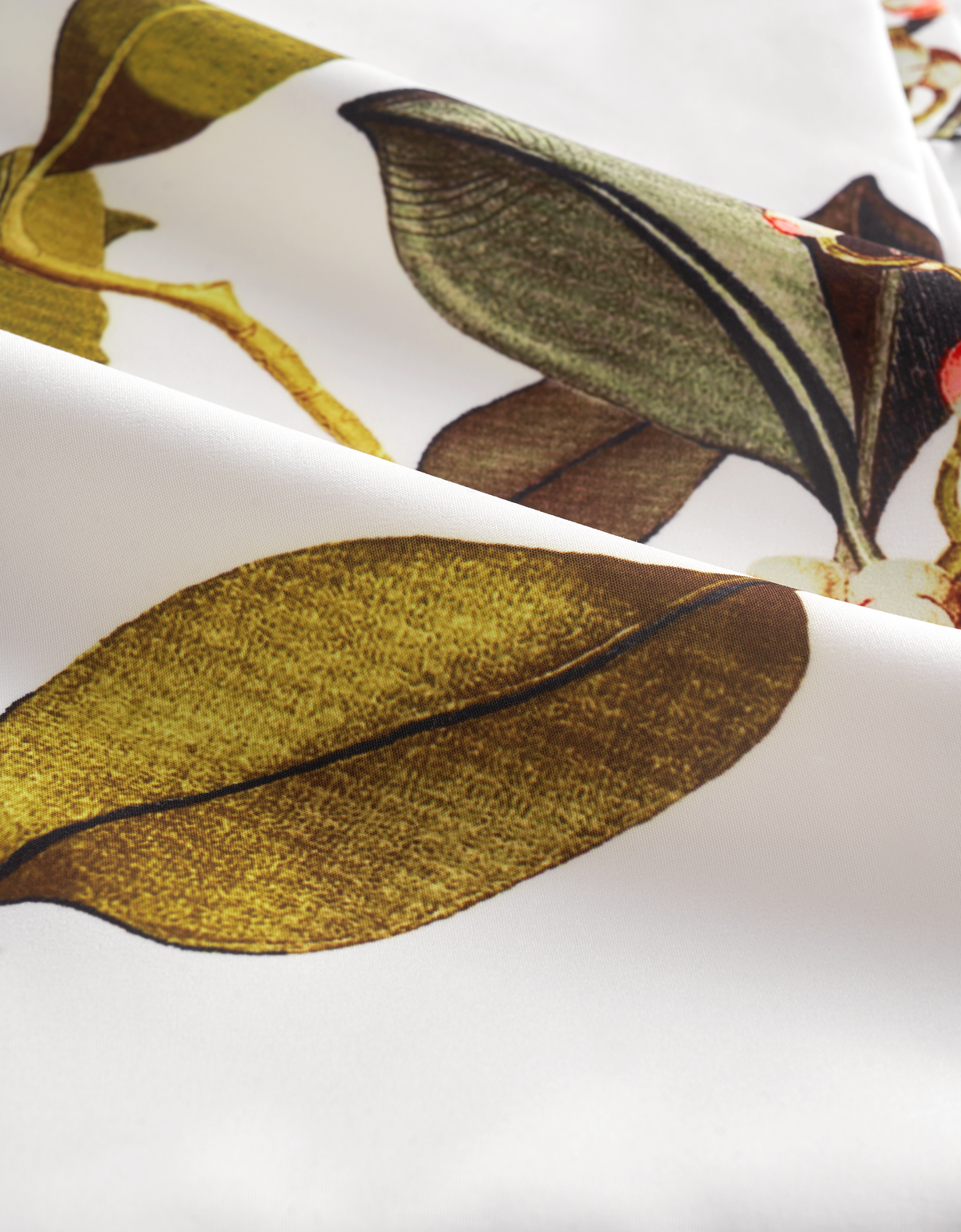 botanical print(a27106)