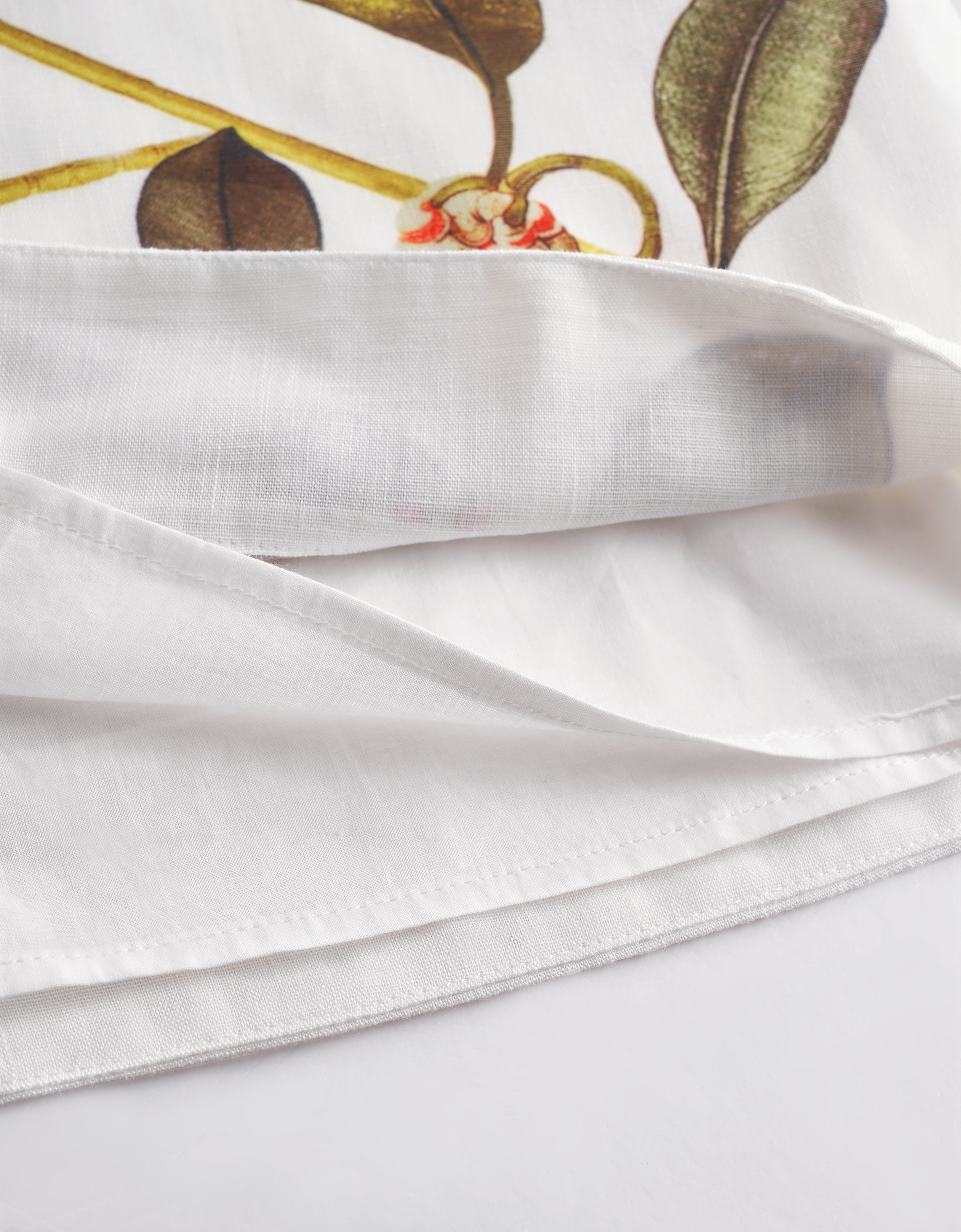 botanical print(a27253)