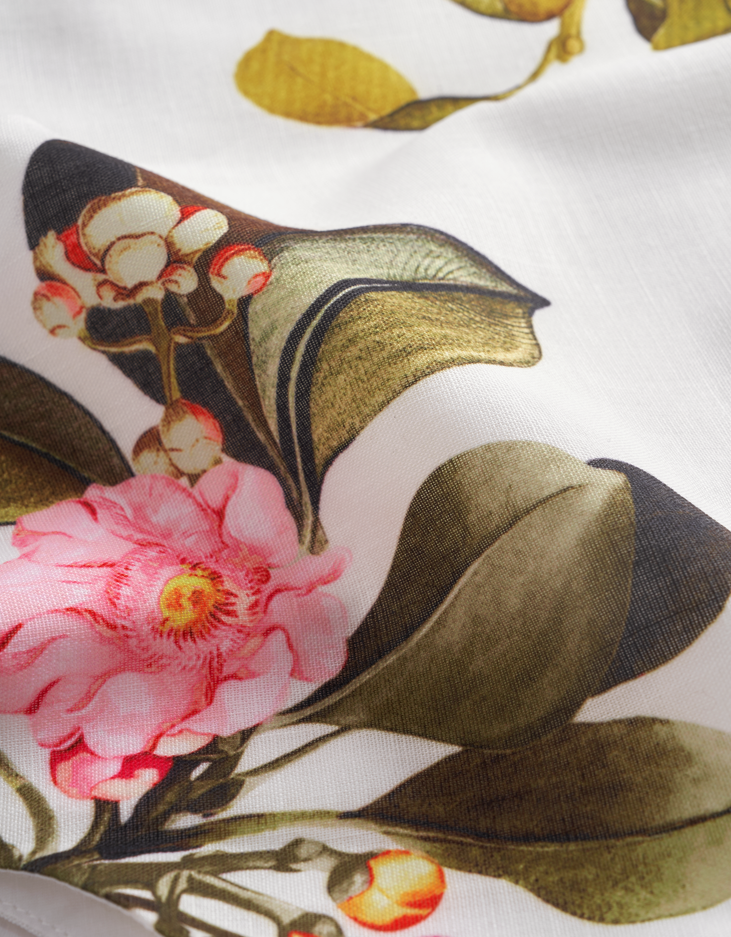 botanical print(a27253)