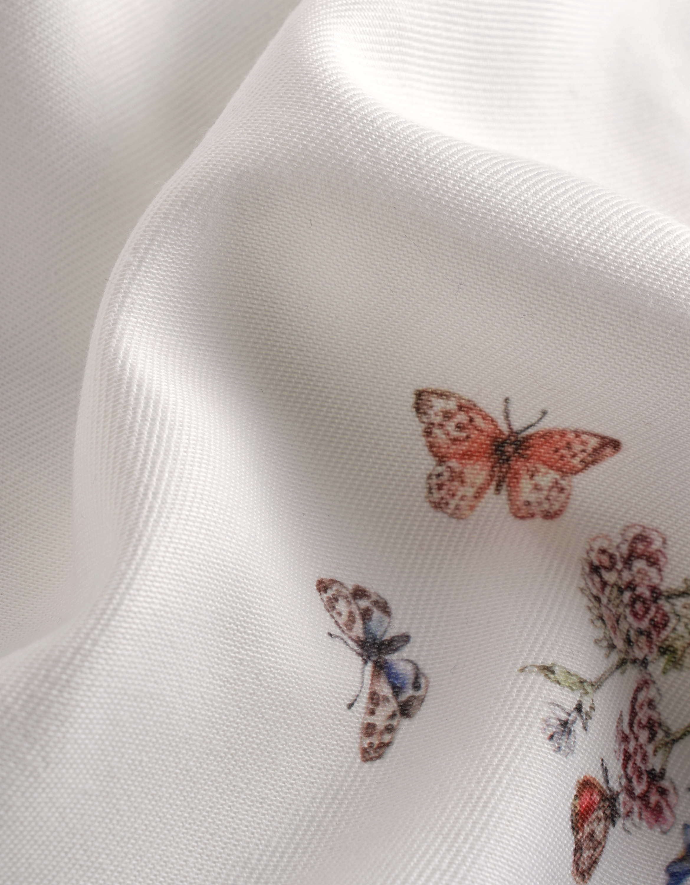 botanical print(a27649)