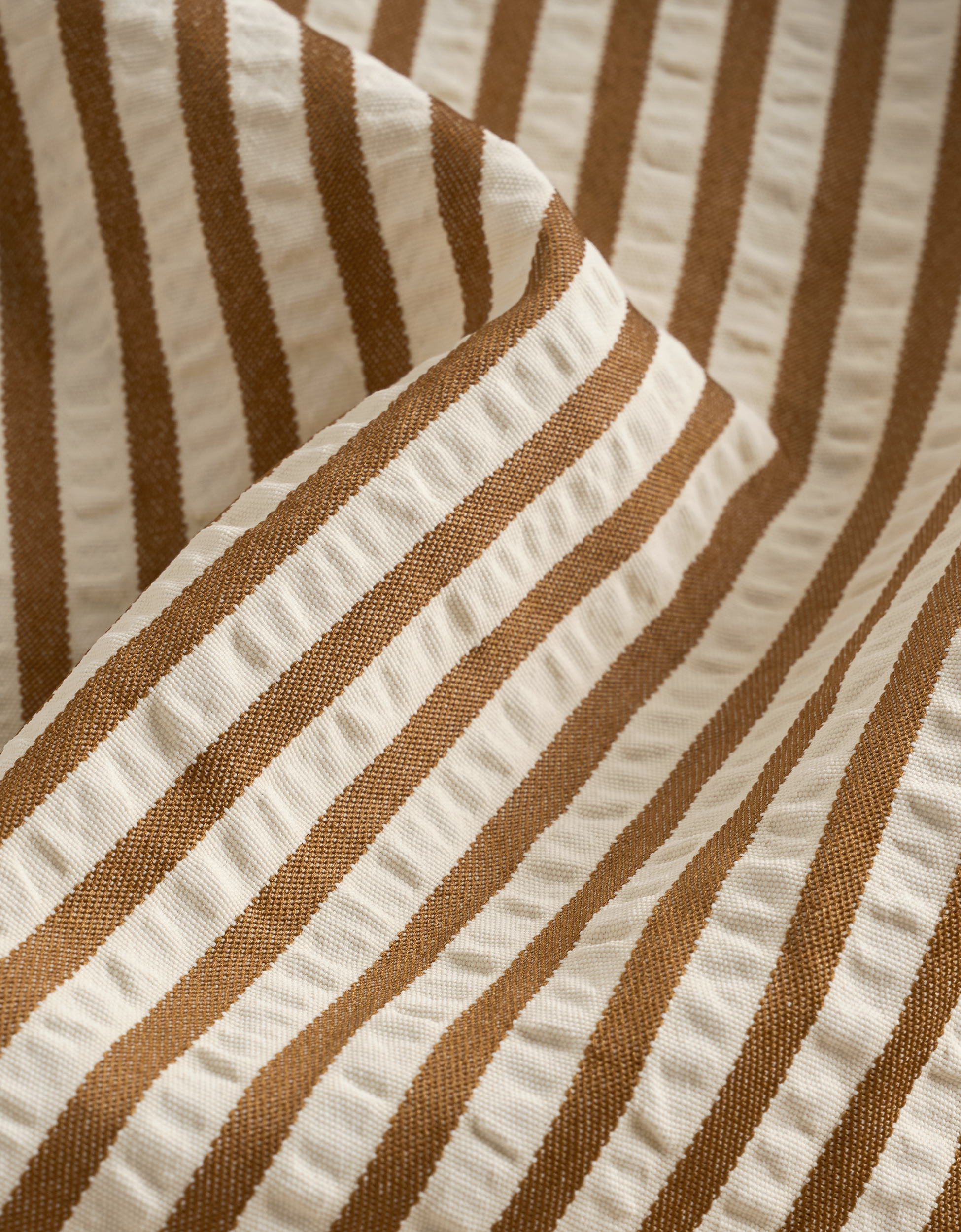apricot & brown(a29652)